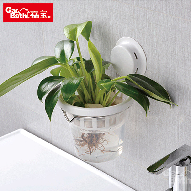 嘉宝吸盘透明绿萝铜钱草水培植物塑料花盆水养器皿风信子水培花瓶