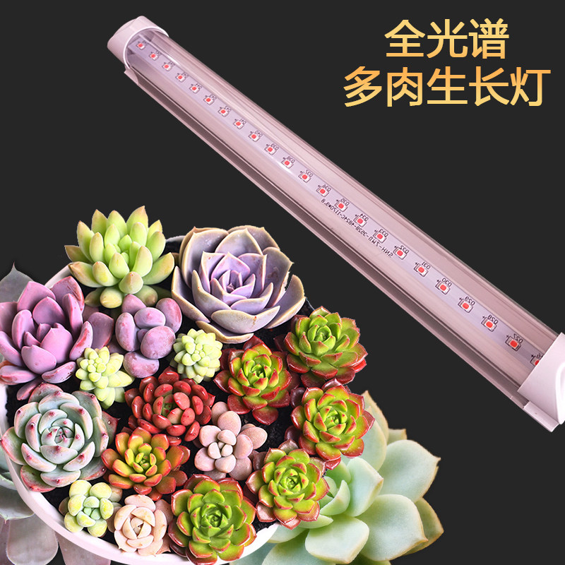 多肉上色补光灯多肉防徒专用全光谱卉育苗组培led生长灯