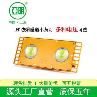 上海亚明LED遂道灯小黄灯100W24V低电压照明灯矿井仓库仓库三防灯