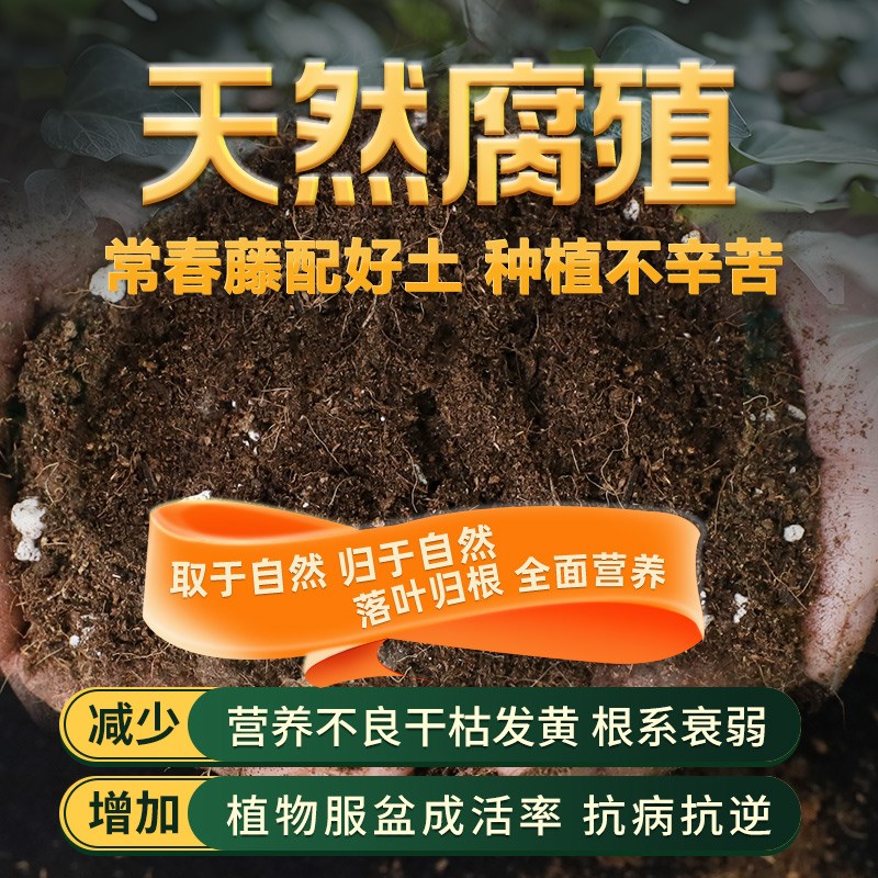 常春藤专用土花卉种花盆栽土常春藤营养土养花有机土壤家用种植土