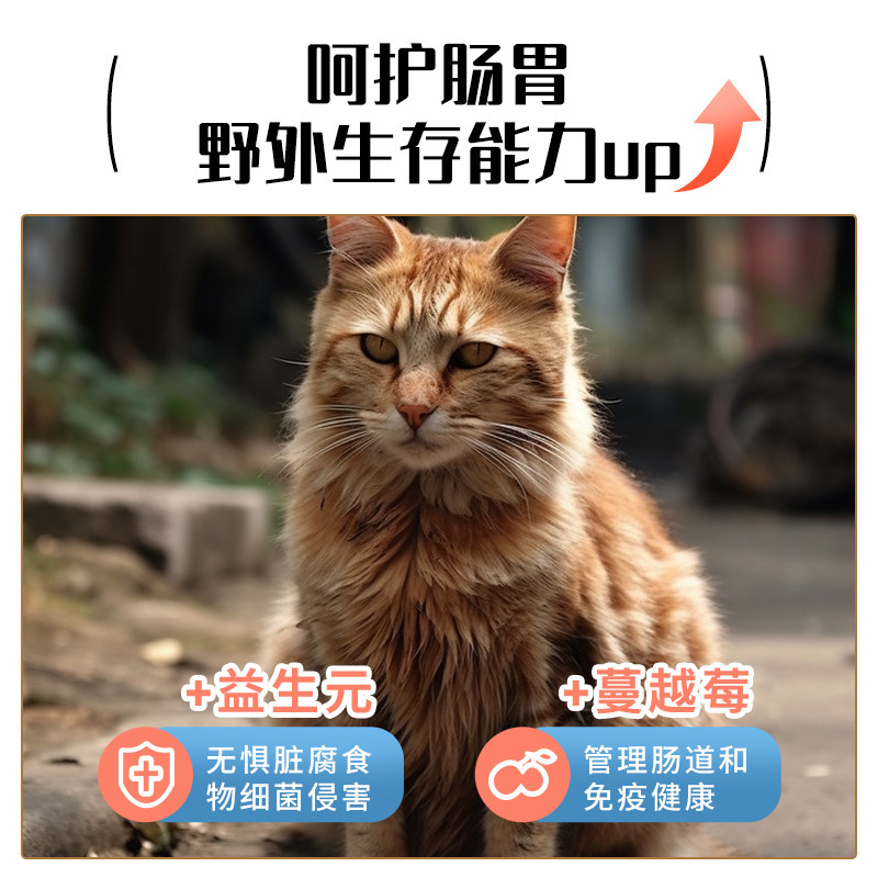 朗仕猫粮成猫试吃小袋装喂流浪猫田园爱心救助粮成猫幼猫土猫便携图片