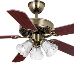 佑家吊扇灯餐厅电扇灯客厅风扇带吊灯卧室书房欧式家用铁叶风扇灯