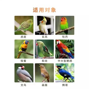 鹦鹉油料增肥粮玄凤牡丹虎皮开胃消食长膘专用营养粮增强免疫力