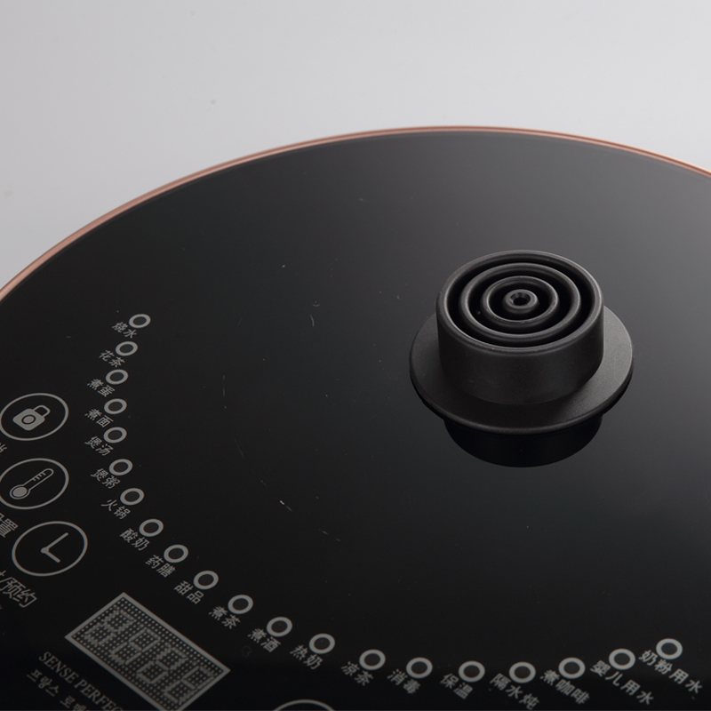 和庭养生壶全自动防溢防爆多功能加厚玻璃2.5升大容量药壶煮茶壶