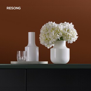 RESONG日诵家居 极简花瓶  软装设计摆场桌面玻璃花器插花饰品