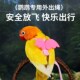 鹦鹉牵引绳鸟用放飞绳小号超轻遛鸟神器飞行绳外出外带背带神器