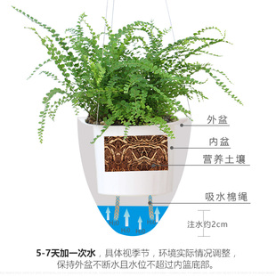 懒人花盆免浇水悬挂花盆免钉壁挂盆创意绿植花卉种植盆水培绿植盆