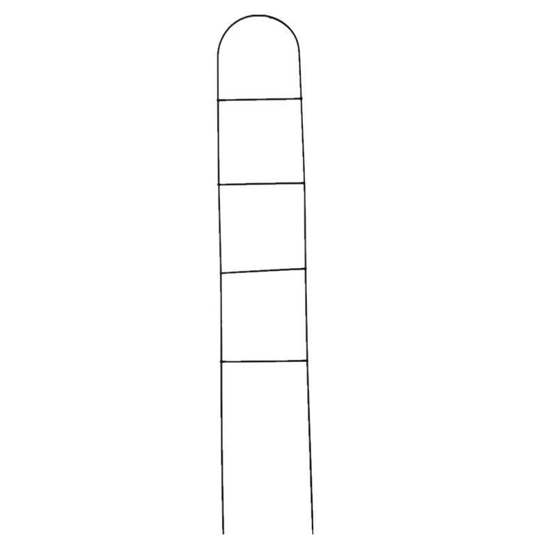 铁艺月季山乌龟甲龙铁线莲花架爬藤小架子花卉植物攀爬支架支撑杆,鲜花速递/花卉仿真/绿植园艺,花架,淘宝优惠券,粉丝福利购,淘宝优惠卷