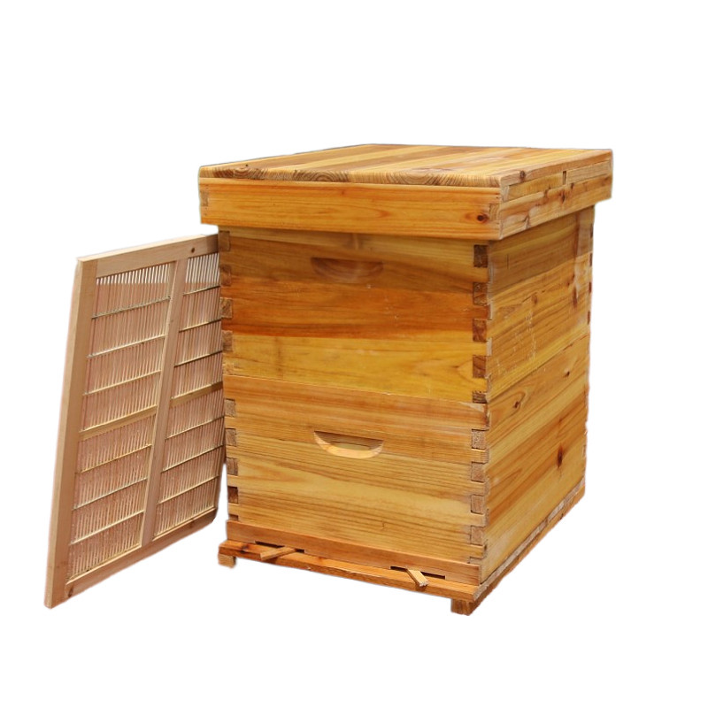 蜜蜂箱十框标准带继箱层中蜂蜂箱全中意蜂用箱王养蜂工具