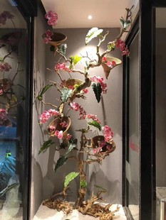 去皮造型树枝装 饰树干枝枯树杆龙骨造景树玄关屏风摆件霸王歪脖树