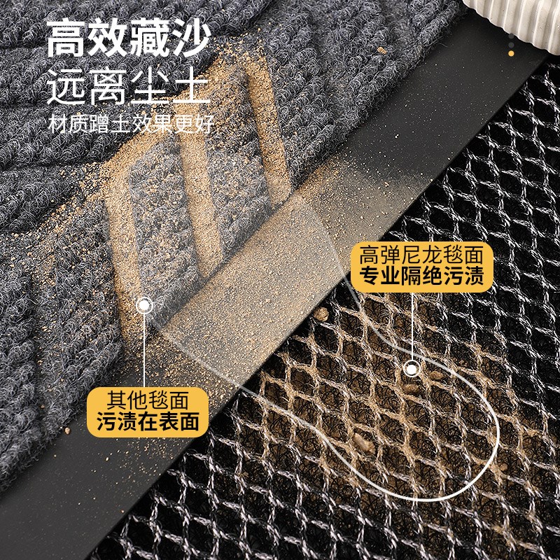 入户门地垫2024新款高级感进门免洗脚垫门口防滑门垫门外耐脏地毯