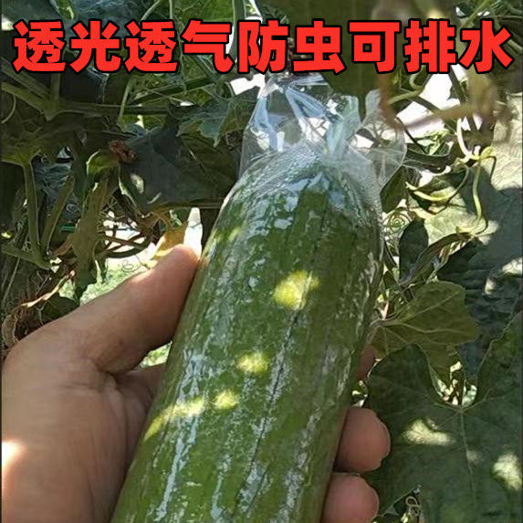 套瓜袋水瓜套袋丝瓜套袋菜瓜苦瓜透明套袋水瓜农用防虫保护透明袋