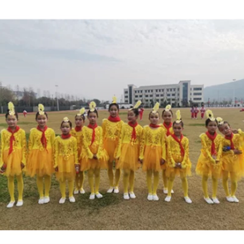 儿童舞蹈服灵燕飞舞服装鸟鸟鸟带翅膀蓬蓬纱裙表演服卡通造型服装