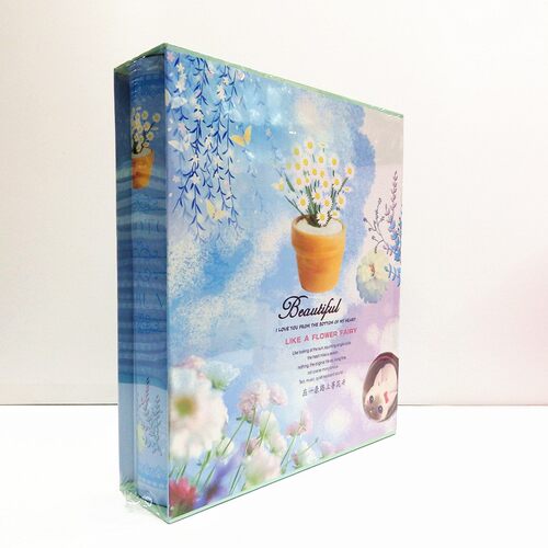 新品包邮 小清新相册本 4D大6寸过塑影集 插页式200张相簿