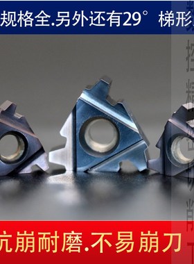 30t型外螺纹刀片钨钢梯形数控刀头超硬合金16-22ER6/5/4/3/2TR