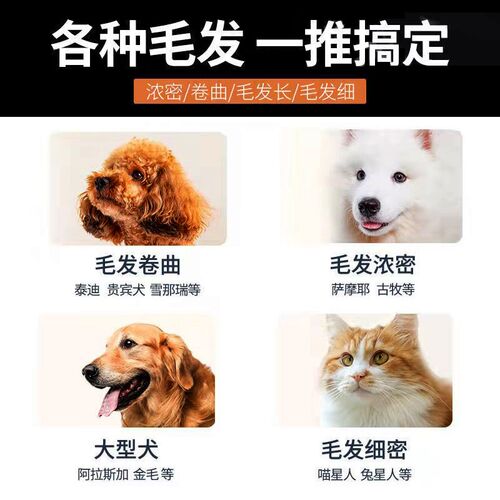 专业宠物狗狗剃毛器猫咪美毛工具电推剪狗毛宠物店专用大型犬神器