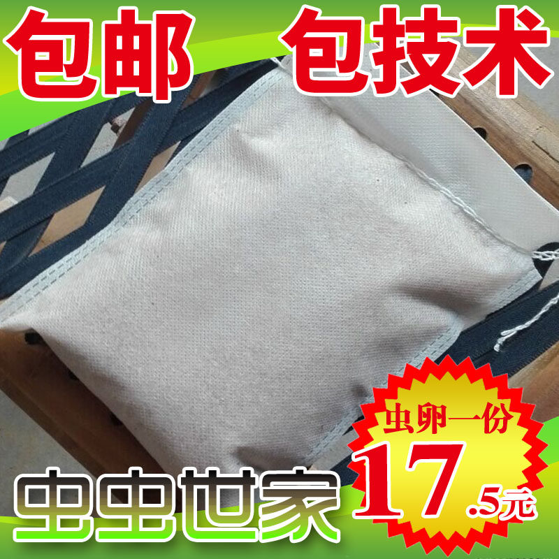 黄粉虫卵 面包虫种虫卵 引种养殖虫卵 家庭养殖 宠物饲料 包邮,宠物/宠物食品及用品,爬虫/鸣虫食物,淘宝优惠券,粉丝福利购,淘宝优惠卷