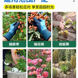 摘酸枣神器捡板栗手套伸缩杆防刺专用工具大全核桃花椒剥不扎手