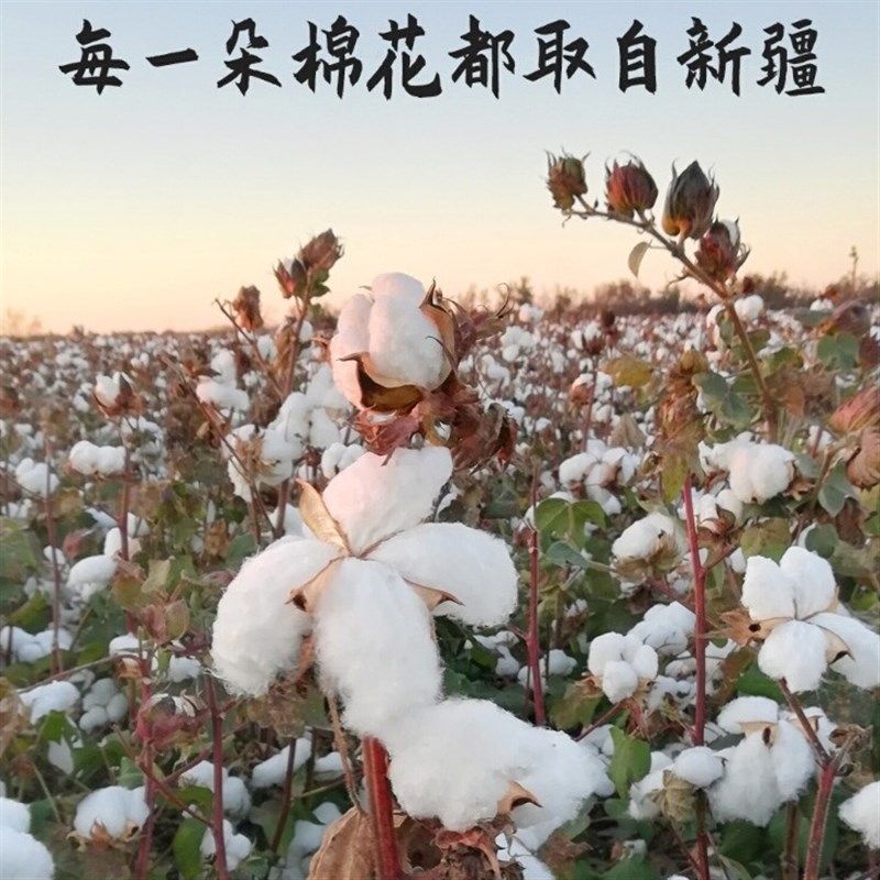 新疆一级长绒棉被棉花被子被芯棉絮床垫被褥子绗缝纯棉全棉加厚,床上用品,棉花被,淘宝优惠券,粉丝福利购,淘宝优惠卷