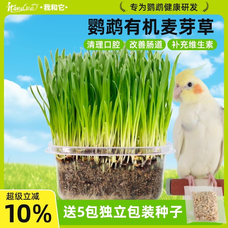 鹦鹉食用有机麦芽草补充维生素