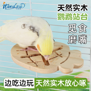 我和它鹦鹉玩具虎皮玄凤站台磨嘴站棍啃咬站板笼内装饰解闷自嗨