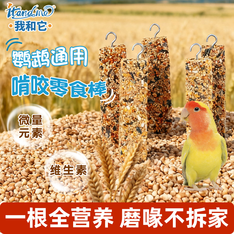 我和它鹦鹉磨牙棒啃咬小零食