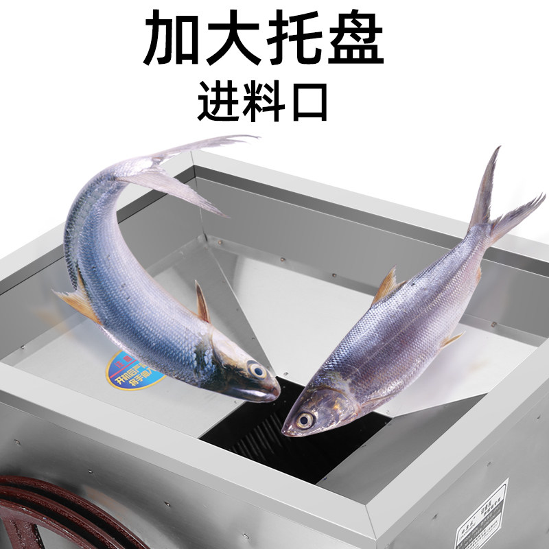 鱼饲料切鱼机 养殖专用碎骨机 大型商用电动 碎鱼机切鱼片大功率