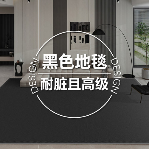 地毯客厅法式简约卧室满铺可擦免洗防水厚轻奢高级感懒人沙发地垫