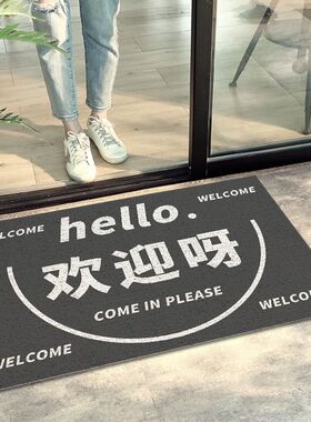商铺进门丝圈地垫服装店入户门垫家用防滑耐脏脚垫大门口商用地毯