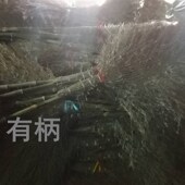 户外竹扫把竹扫帚大扫把庭院小手工扫把竹子马路环卫扫帚工厂笤帚
