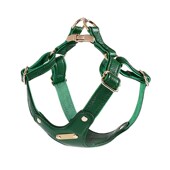 溜狗狗牵引绳中型犬胸背带背心式 皮革小型犬宠物柯基专用柴犬狗绳