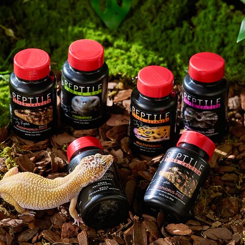 REPTILE爬宠钙粉维生素益生菌两栖宠物专用角蛙睫角蜥蜴守宫营养