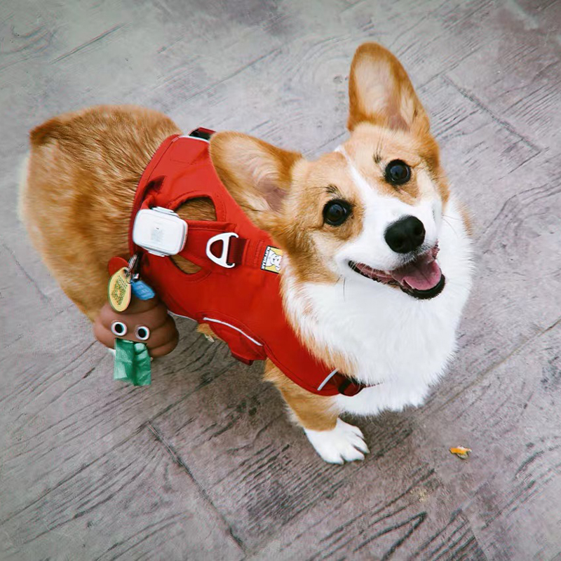 FOFOS宠物遛狗拾大便袋盒捡屎铲狗屎器柴犬柯基环保可降解垃圾袋