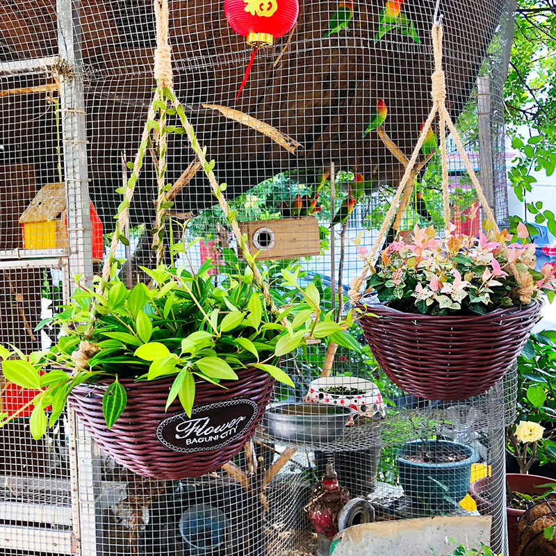 壁挂仿藤编塑料挂壁花盆吊盆花盆悬挂式绿萝多肉垂吊吊篮盆