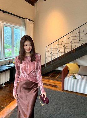 Alone Savor龙喜儿秋季法式别致丝绒T恤长袖修身不规则上衣女T107