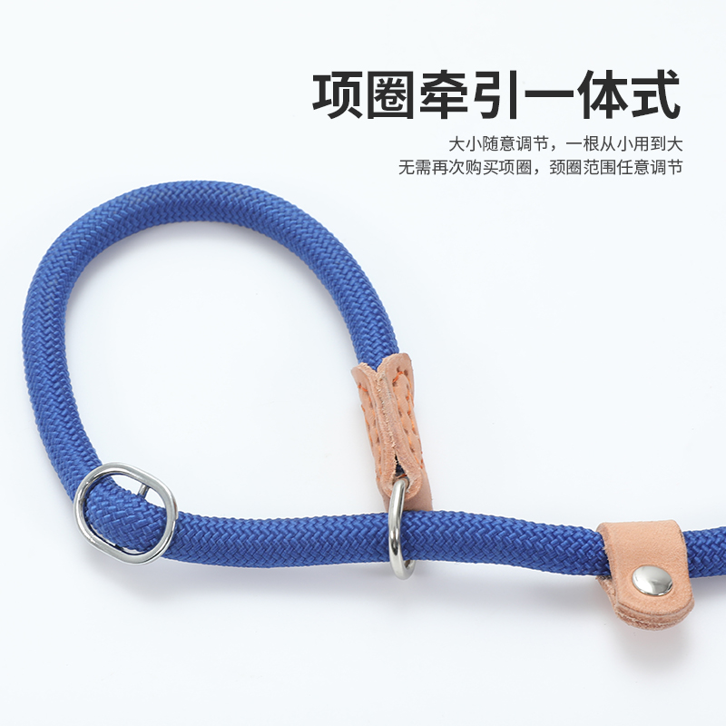 狗狗P字链防爆冲狗绳训犬狗P绳金毛小中大型犬加长加粗狗狗牵引绳