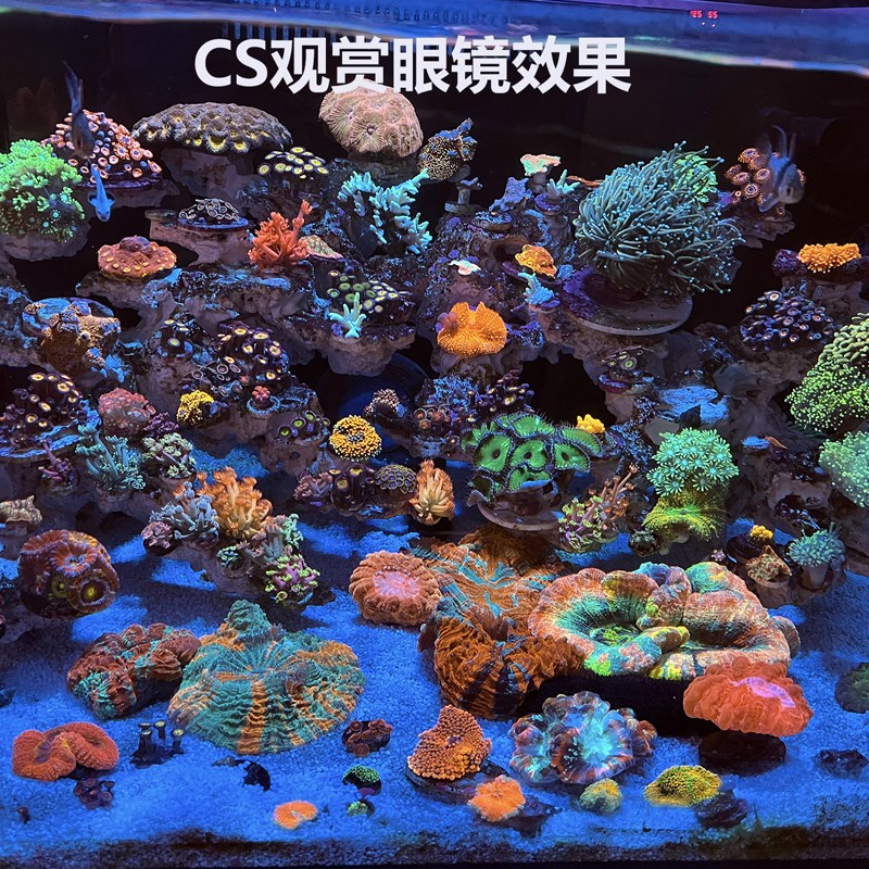 CS海缸观赏眼镜滤镜 高度还原色彩提亮增色艳丽 纯蓝观赏效果优异
