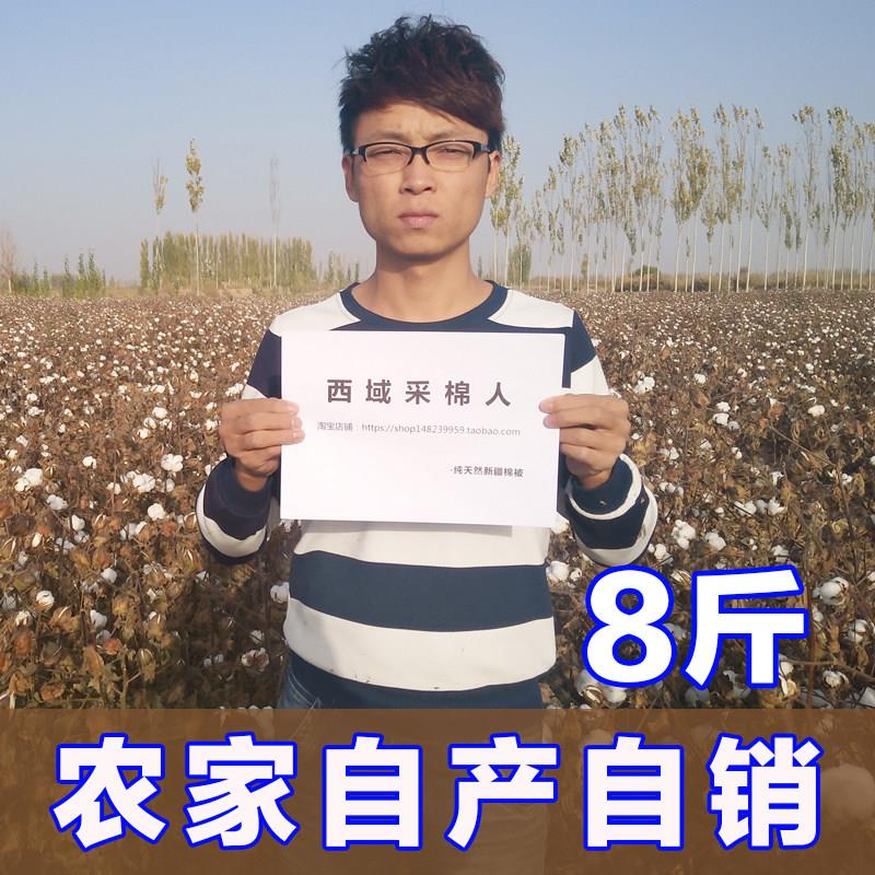 新疆棉花一级优质长绒棉棉絮棉花被8斤特价冬季棉絮床垫加厚保暖