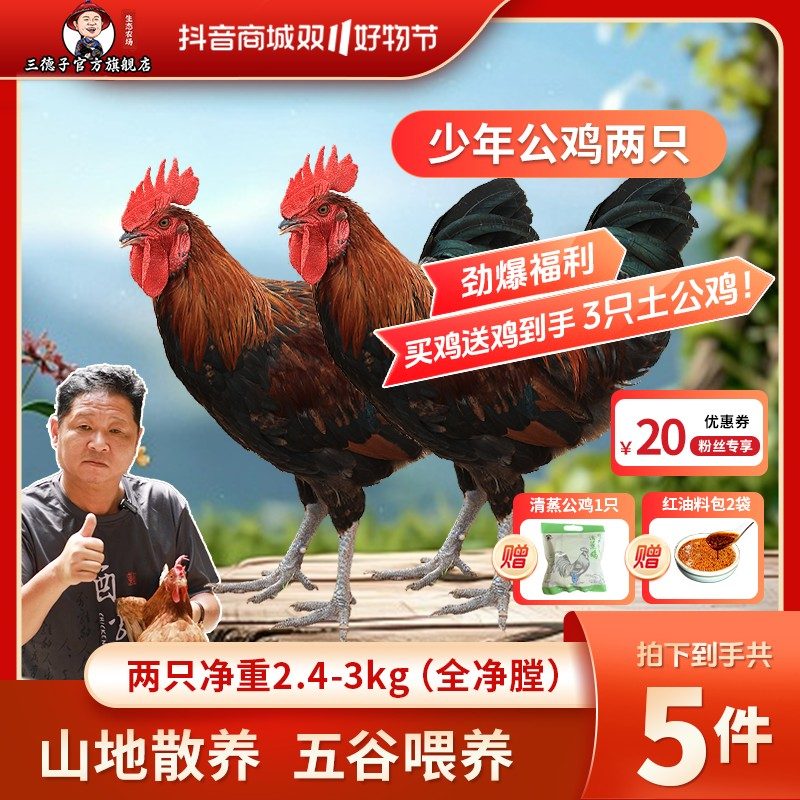 三德子少年公鸡买二赠一散养土鸡农家散养草鸡白切鸡椰子鸡生鲜图片