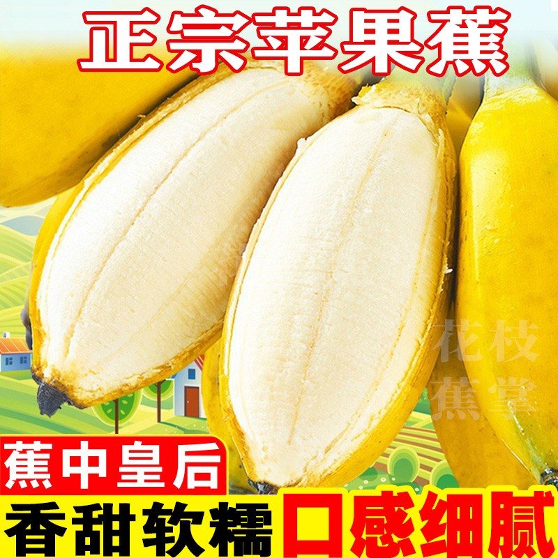 花枝蕉掌苹果蕉自然成熟5斤3斤水果粉蕉芭蕉香蕉整箱放熟食用
