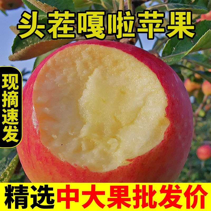 2026头茬嘎啦苹果脆甜新苹果丑苹果自然树熟现摘当季新鲜水果整箱