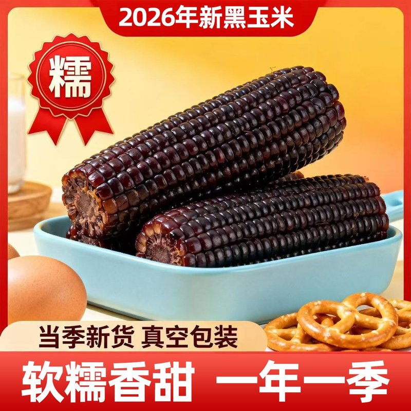 头茬黑糯小香糯黑玉米山西甜糯玉米低脂早餐代餐真空包装
