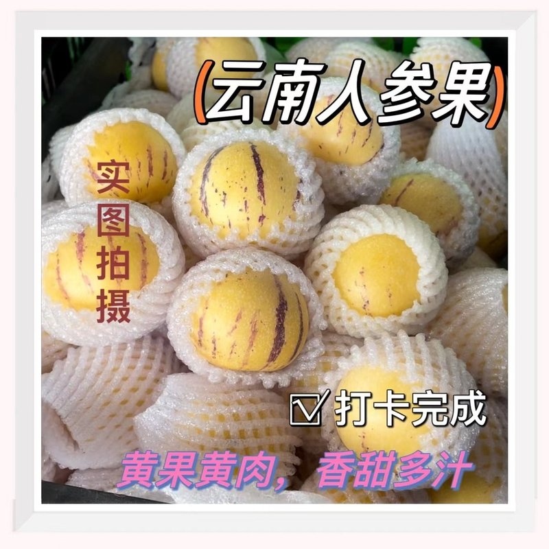 真树上熟云南石林人参果黄心黄肉清甜多汁产地直发坏果包赔