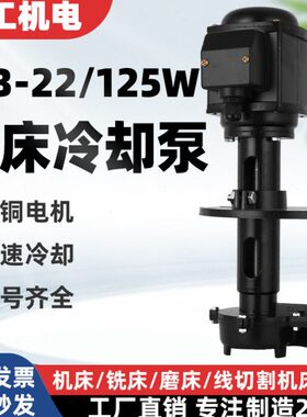 JCB-22/125w机床泵油泵冷却泵单/三相电泵车床水泵磨床铣床线切割