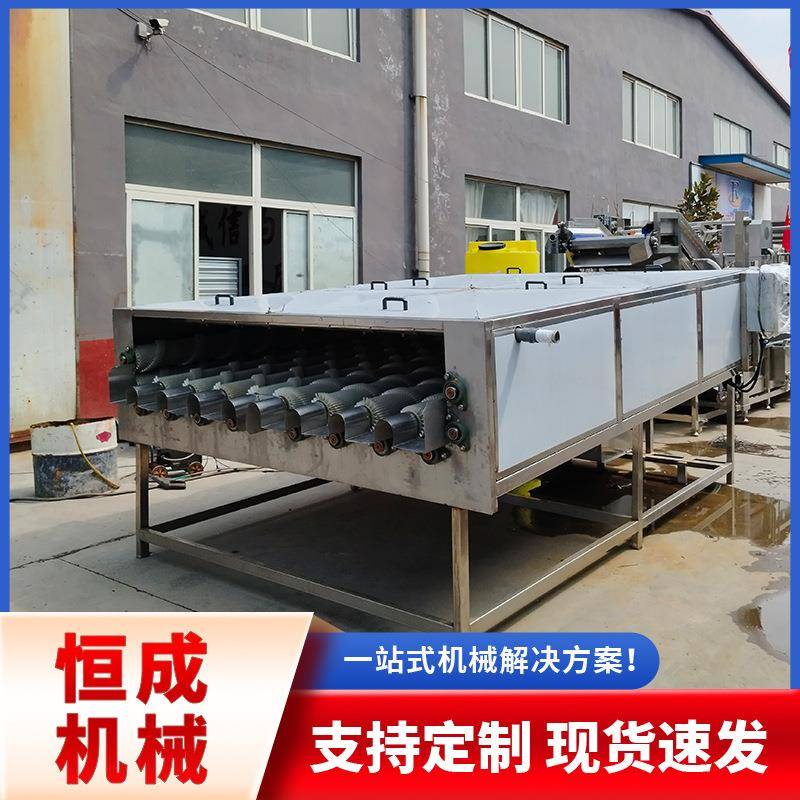 全自动大产量胡萝卜白萝卜青萝卜去泥清洗机清洗包装分拣一条线