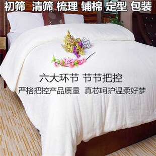 棉絮棉被床垫被褥子棉花被胎学生宿舍单人加厚保暖春秋冬被芯被褥
