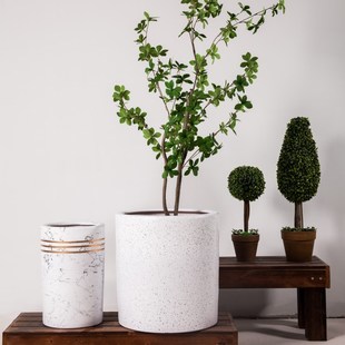 特大口径30cm以上圆柱形高款陶瓷花盆轻奢高级感客厅特大号种树盆