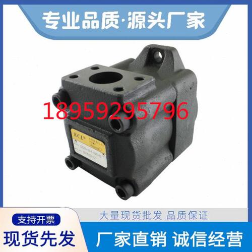 DVQ25-18/22/26/32/38-F-RAA-01 KCL凯嘉定量叶片油泵DVQ20 35 45