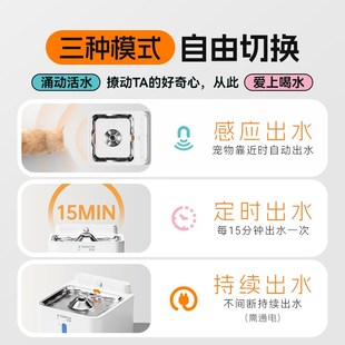 女神节定制款小甜橙猫咪饮水机无线不插电宠物喝水器饮水器