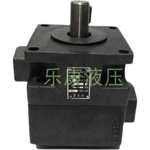 液压泵Y20油泵0平面0杭州1613叶片泵1M710M7M7130M7B 磨床B